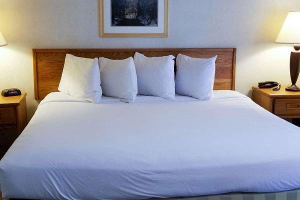 MAGNUSON HOTEL ELY (Ely)